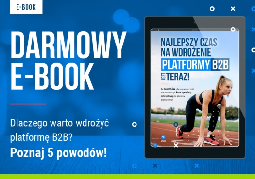 Dlaczego warto wdrożyć platformę B2B?