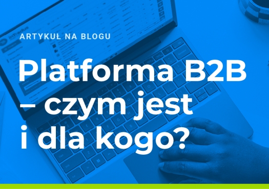 Platforma B2B- czym jest i dla kogo?